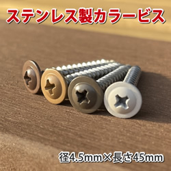 ステンレスカラービス